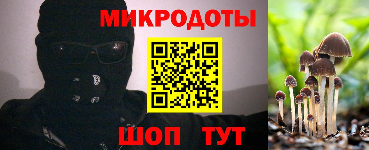 Галлюциногенные грибы прущие грибы Санкт-Петербург